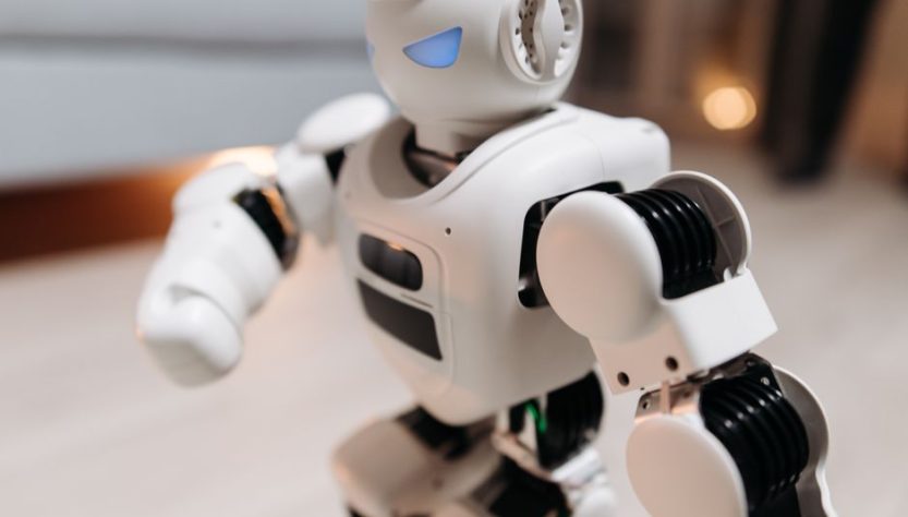 robotique domestique